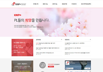 �ѱ� HIV/AIDS�����ο���ȸ KNP�÷���